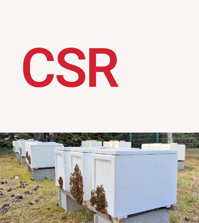 CSR