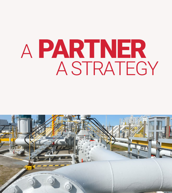 A partner, a strategy